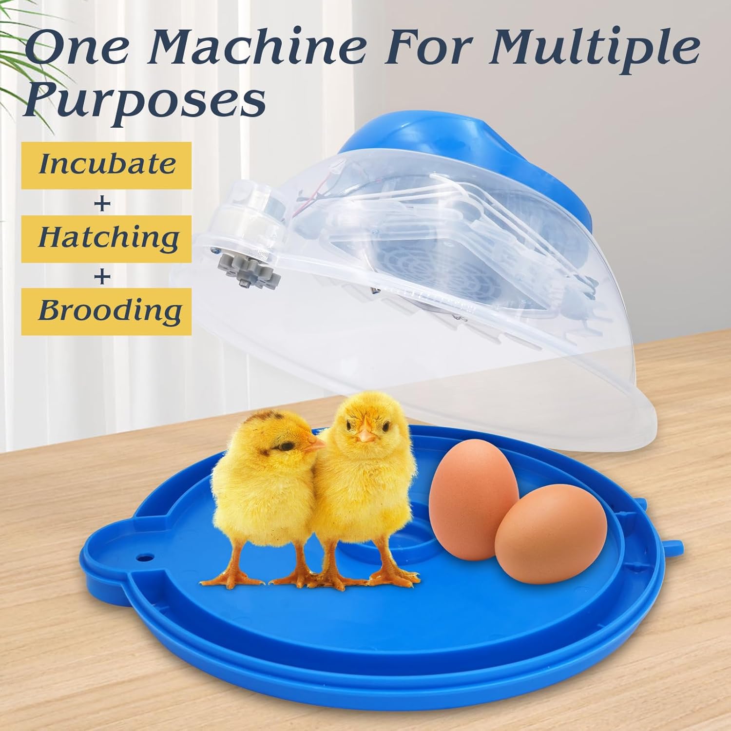 Egg Incubator for Hatching Eggs, 8 Egg Incubator with Fully Automatic Flip and Add Water, Temperature Controlled Poultry Incubator for Chicken, Duck,Goose,Dove,Quail Farm Home Incubator