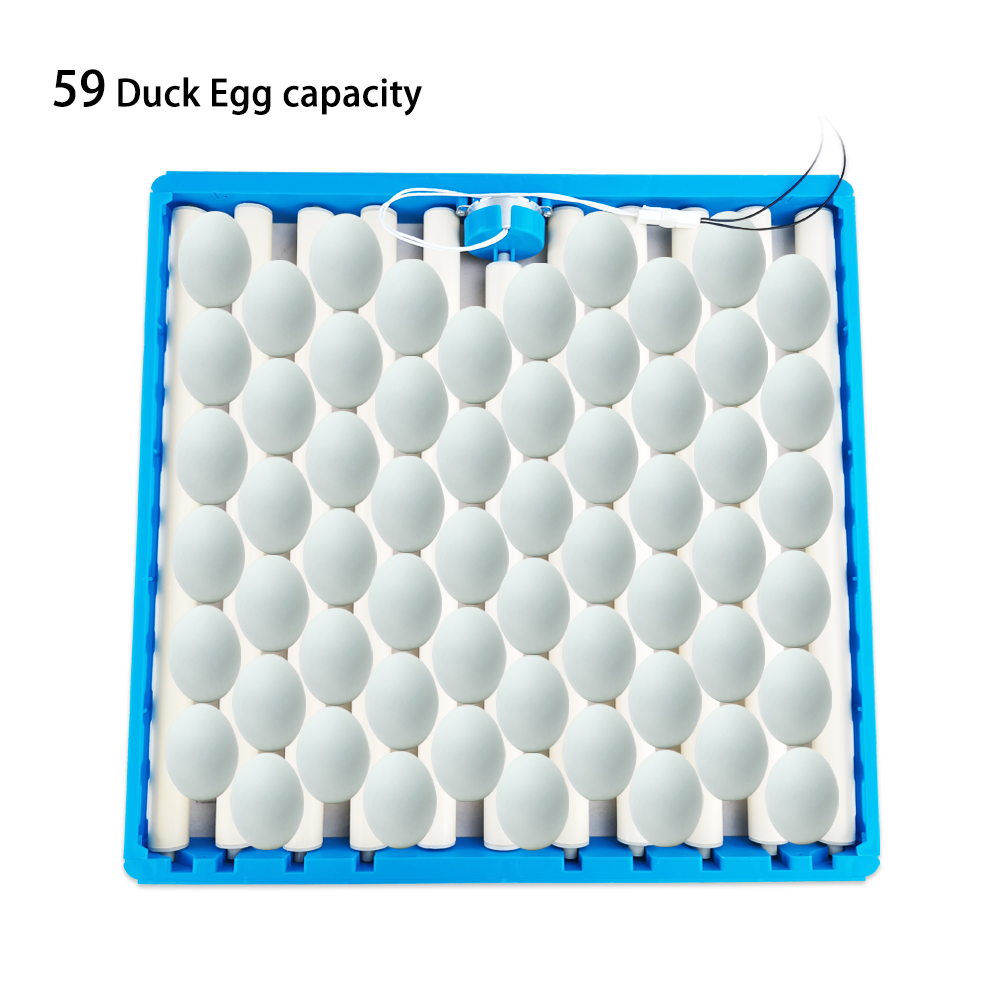 Blue roller egg tray with quality assurance
