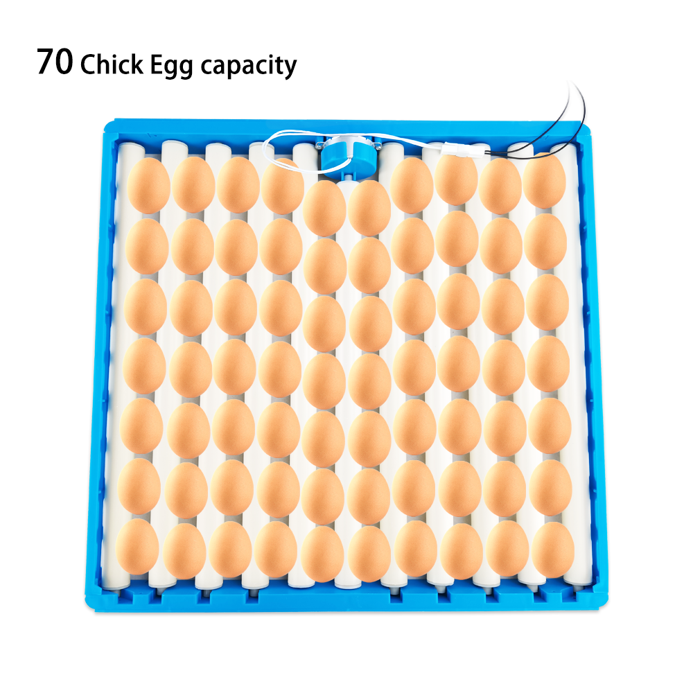 Blue roller egg tray with quality assurance