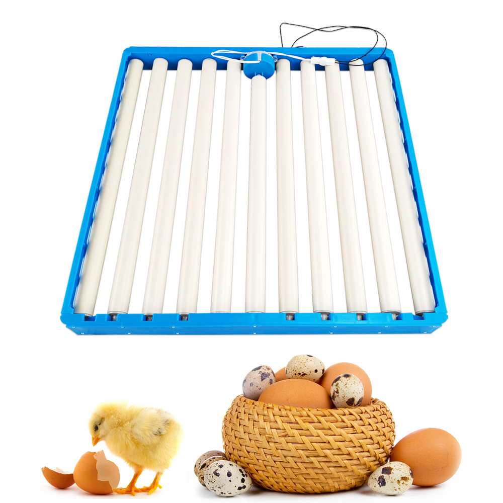 Blue roller egg tray with quality assurance